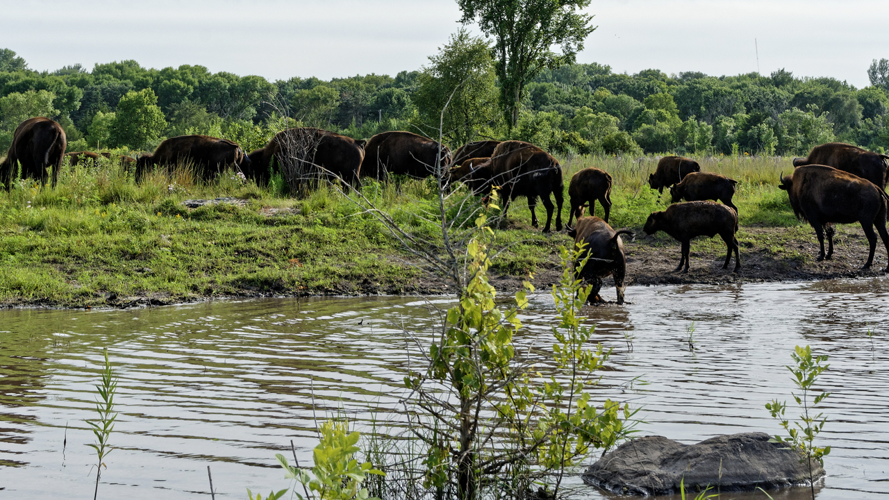 20190801-174022••North Mankato•Minnesota•USA
